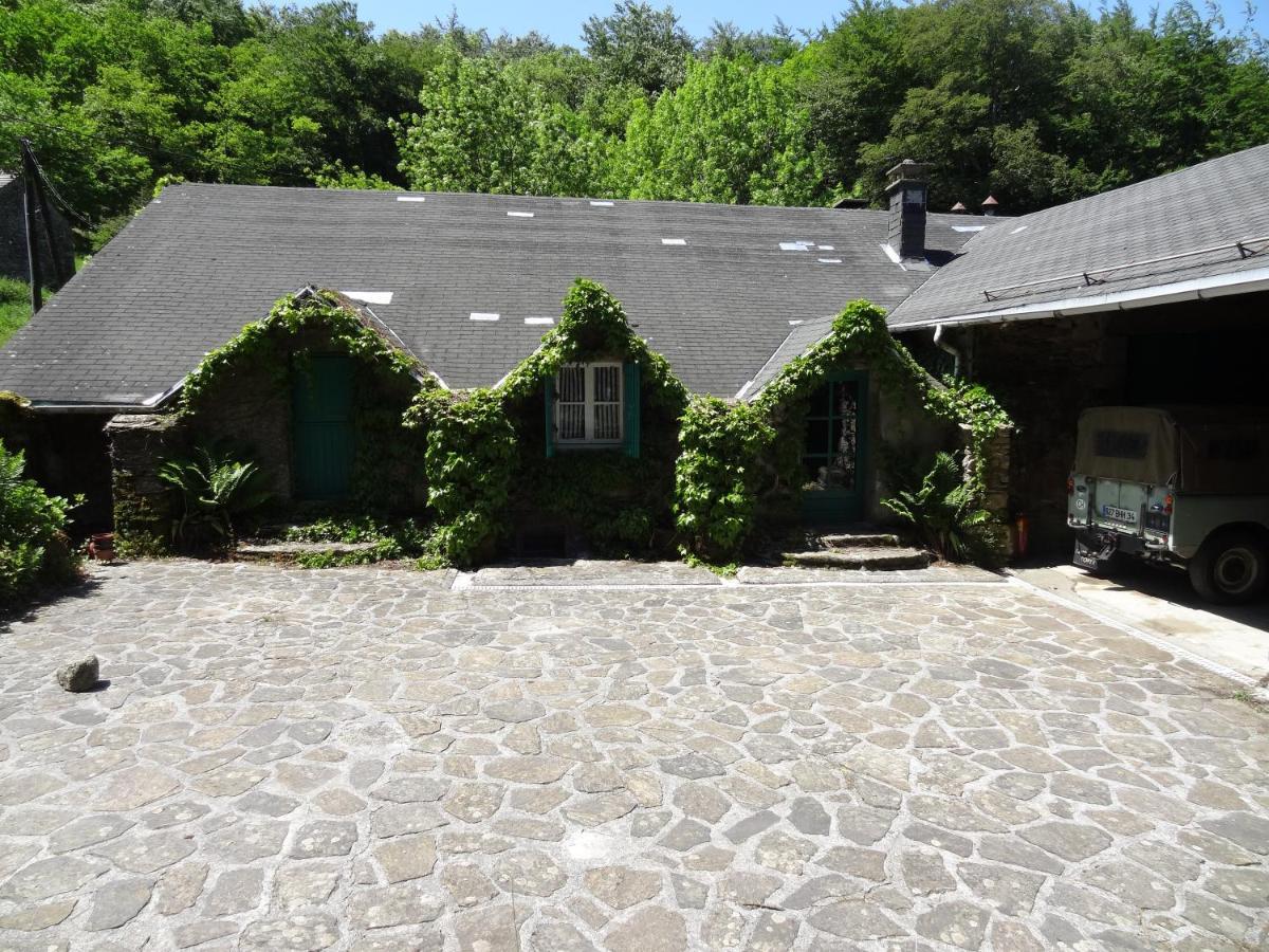 Le Ginestous Bed & Breakfast Le Soulié Exterior foto